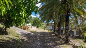 En belagt sti der fører til et hus med veranda, omgivet af palmer og frodig vegetation.