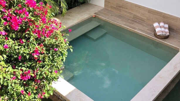 A rectangular hot tub with a tiled edge, surrounded by lush greenery and pink flowers. - Casa Colonial en el Centro de Mérida, Remodelada, Excelente Para Grupos Grandes (Centro)