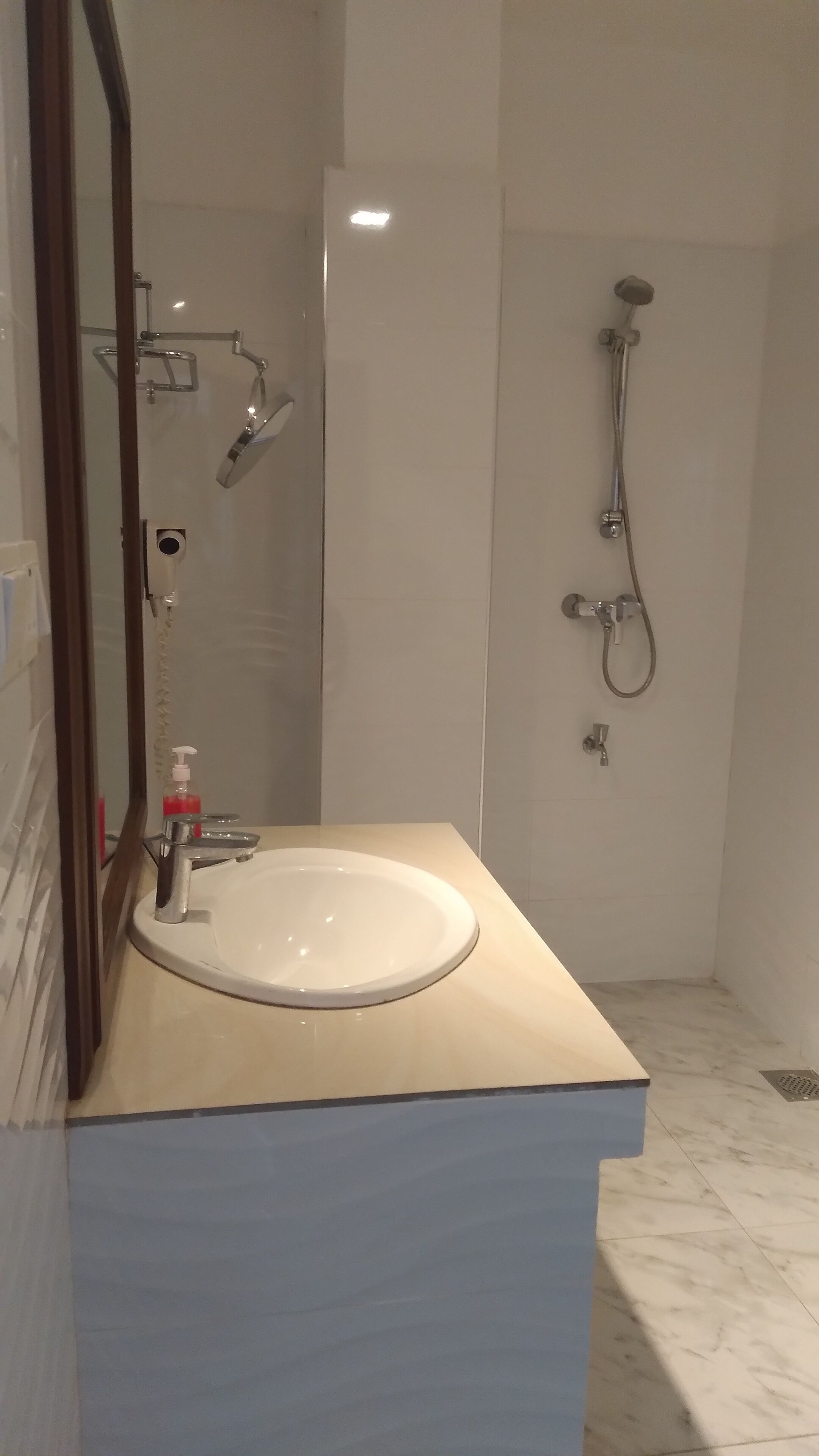 A bathroom with a white sink, a mirror, and a shower with a handheld showerhead.