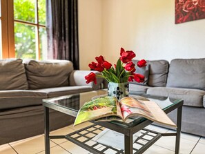 TV, lareira, pebolim