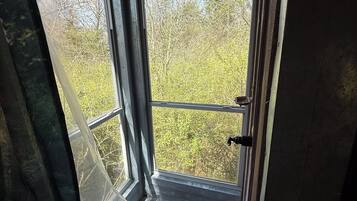 A room with a large window, a door, and a small mat at the entrance.