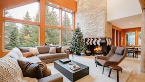 TV, fireplace, DVD player
