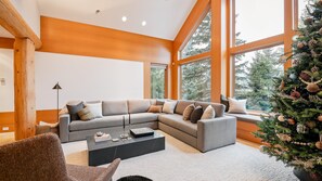 TV, fireplace, offices