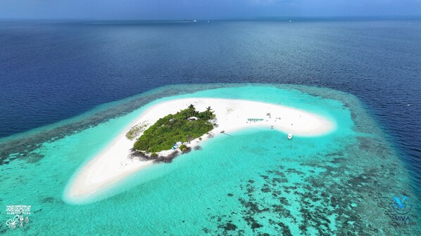Safari - VIVA Beach & Spa MALDIVES (Hangnaameedhoo)
