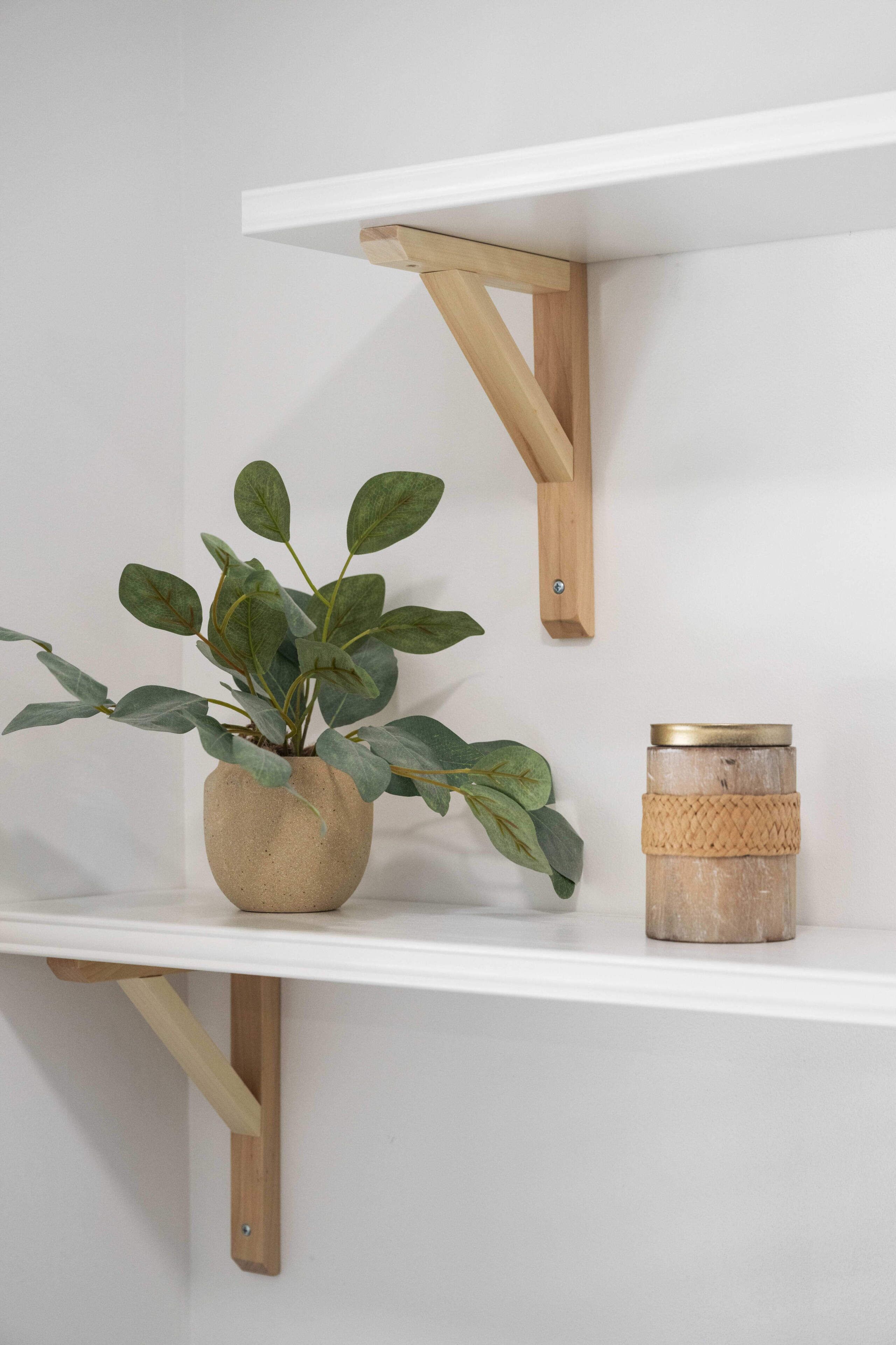 A shelf with a potted plant and a cylindrical container.