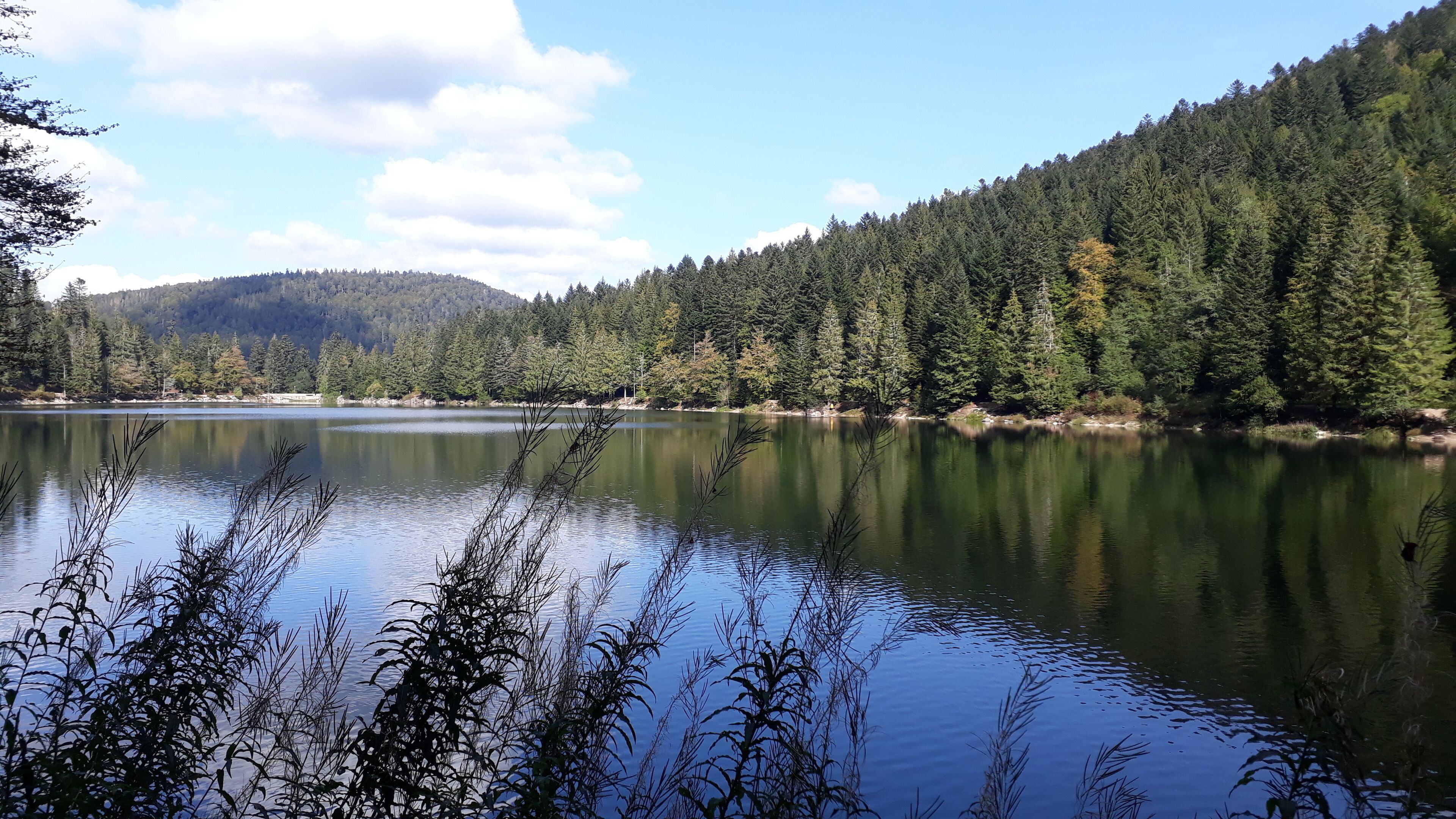 Ein stiller See, umgeben von dichtem Wald und Hügeln.