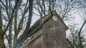 A rustic wooden structure with a wooden staircase leading to a door labeled "Visitor House." - Romantic getaway in the trees.  Enjoy your stay in a majestic oak treehouse (Celeste)
