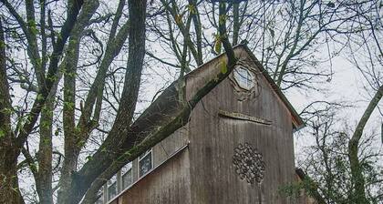 Romantic getaway in the trees. Enjoy your stay in a majestic oak treehouse