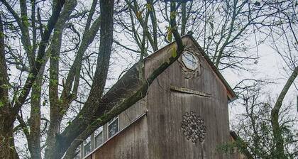 Romantic getaway in the trees.  Enjoy your stay in a majestic oak treehouse