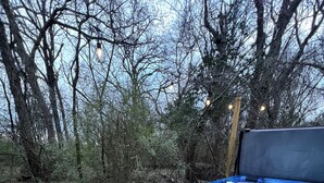 A wooden deck with two hot tubs and a barbecue grill. - Romantic getaway in the trees.  Enjoy your stay in a majestic oak treehouse (Celeste)