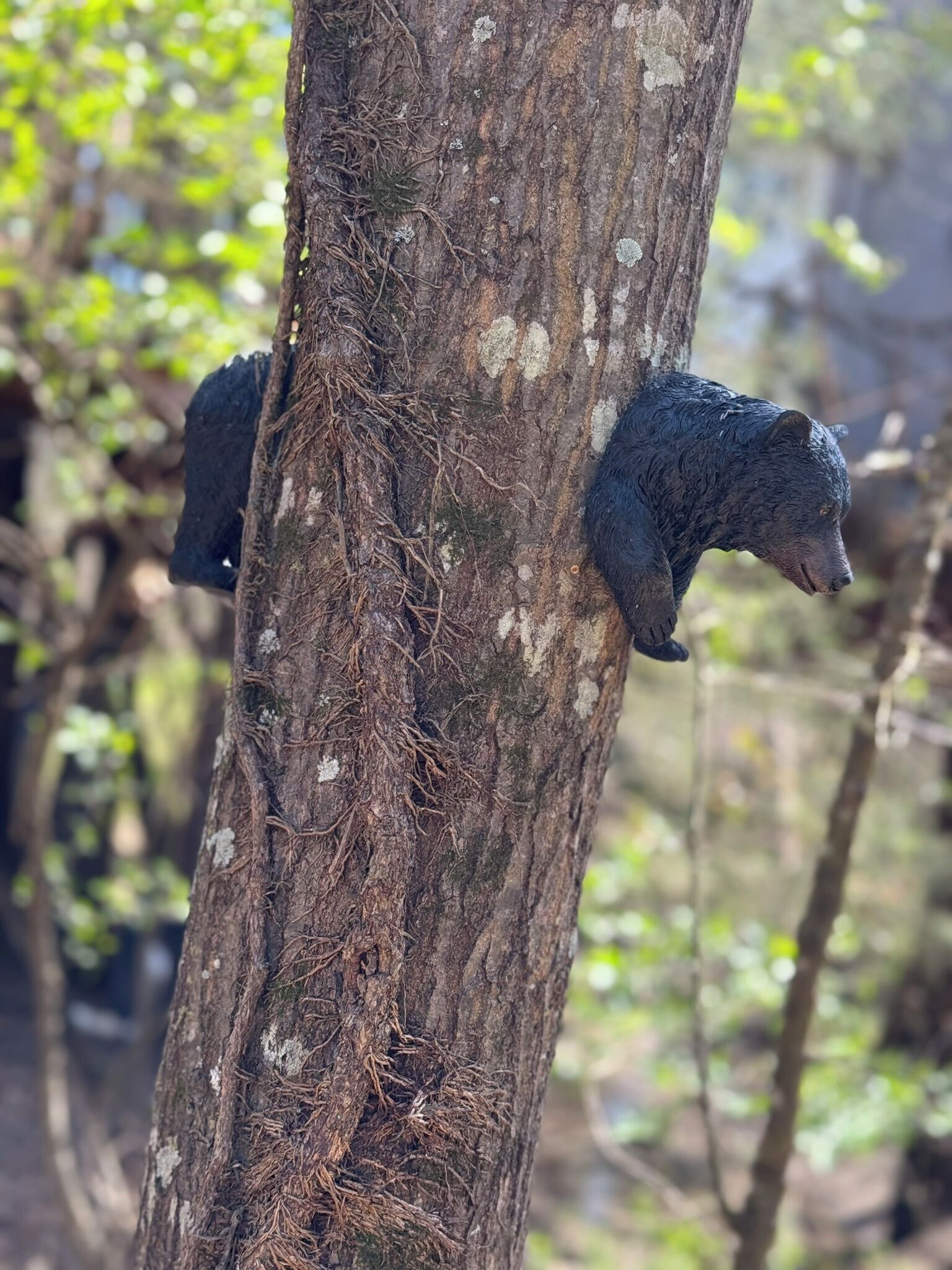 A tree with two black bear sculptures perched on it.