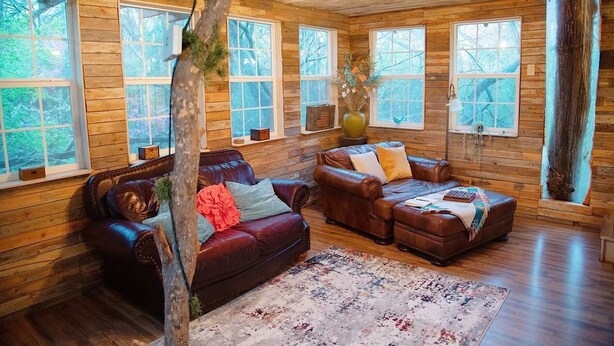 A cozy log cabin interior with leather sofas, a large rug, and multiple windows offering views of the surrounding forest. - Romantic getaway in the trees.  Enjoy your stay in a majestic oak treehouse (Celeste)
