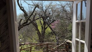 Una puerta de madera abierta que da a un porche con dos mecedoras y vistas a árboles y arbustos.