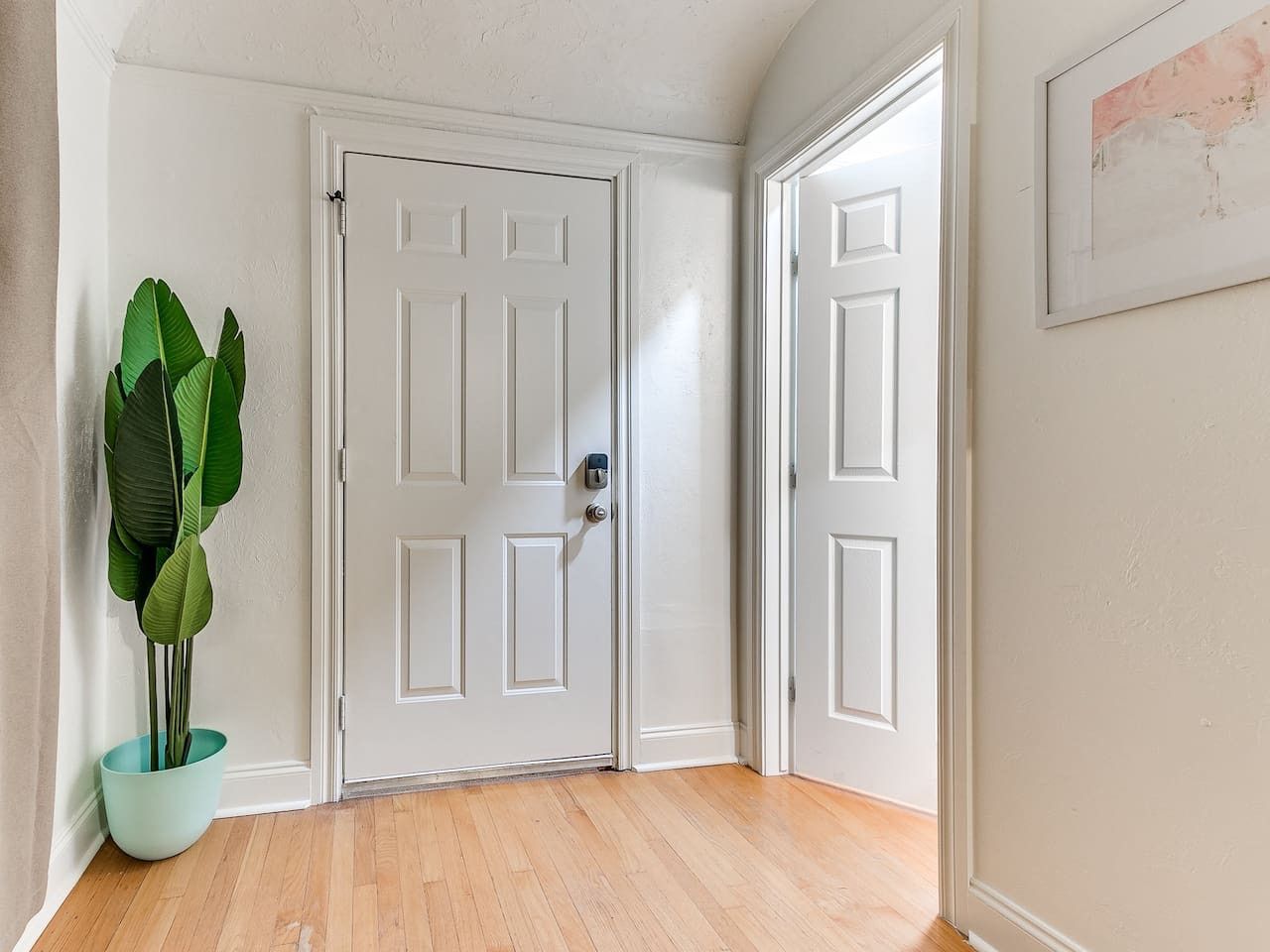 Un pasillo con dos puertas blancas, una planta en maceta y un cuadro en la pared.