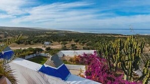 Paisaje costero con cactus y buganvillas, cielo despejado y tierra a lo lejos.