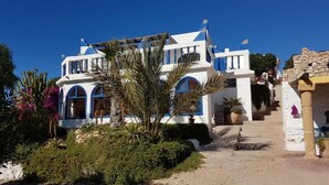 Un edificio blanco con detalles azules, una escalera de piedra y un jardín con cactus y flores.