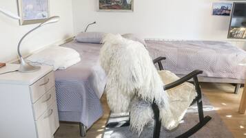 1 chambre, accès Internet