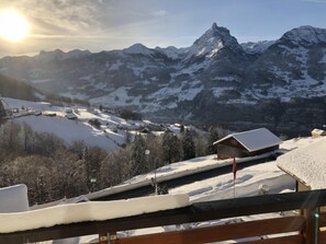 Property grounds - Penthouse Brugg by Interhome (Amden)