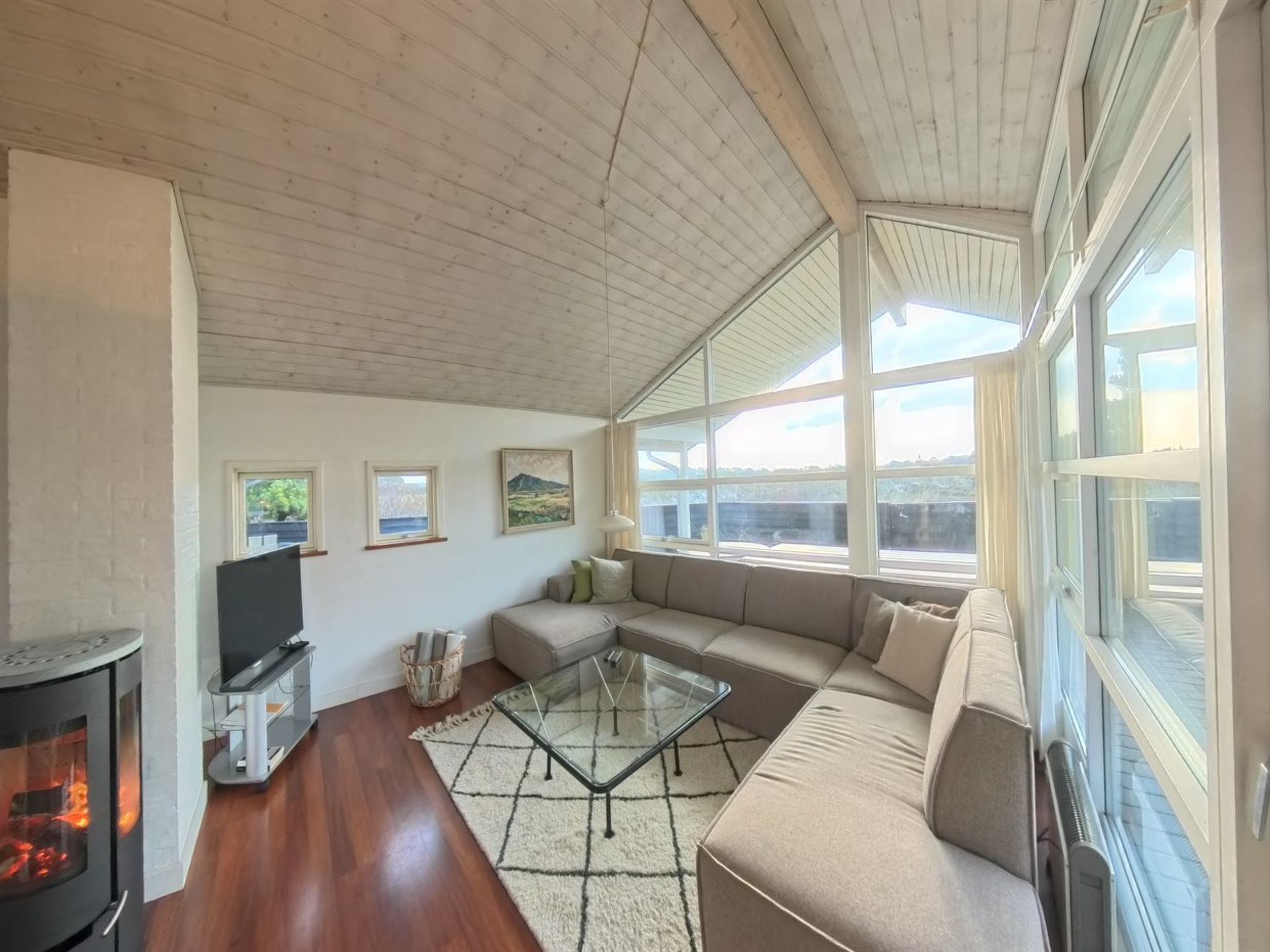 Tv, pejs, dvd-afspiller