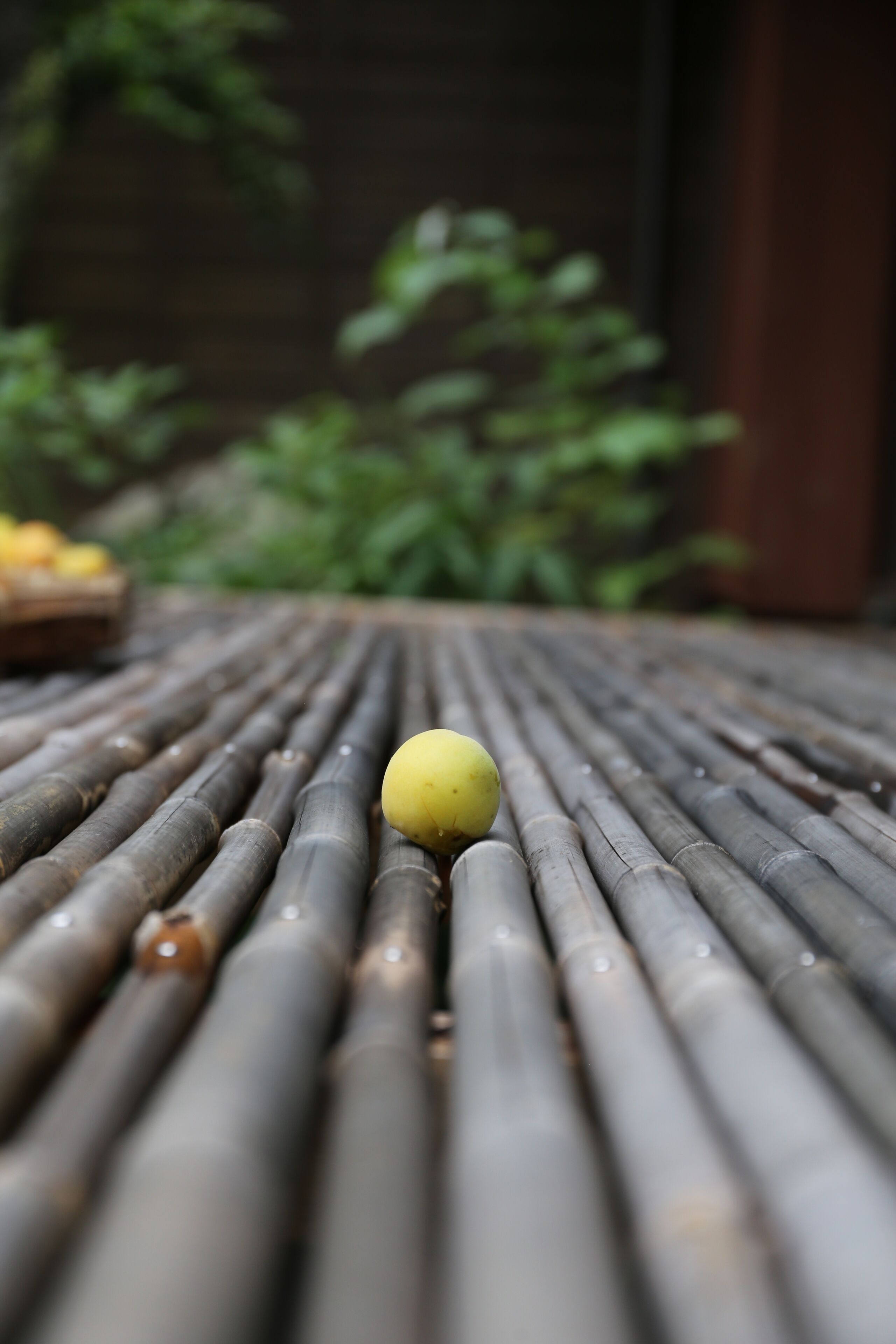 A close-up of a yellow ball on a bamboo mat with a blurred green background.