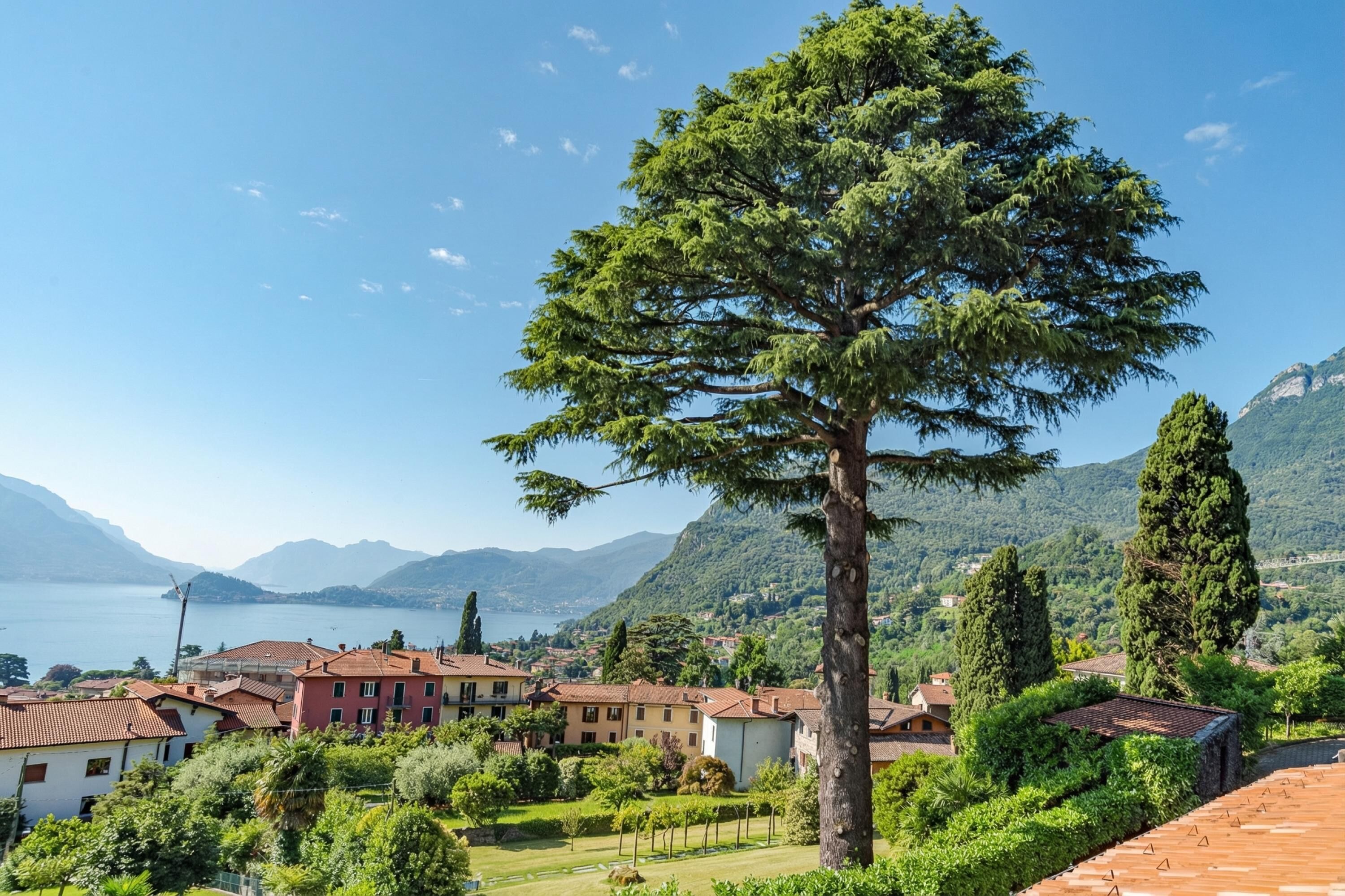 Un pueblo costero con edificios, un árbol destacado y un lago.