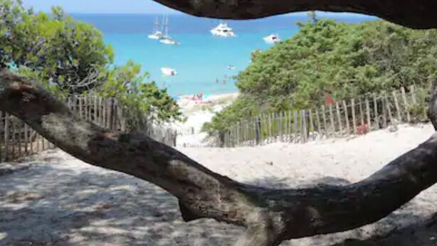 A beach with boats in the water, a wooden fence, and trees. - L'échappée Belle en Tout Compris (Linguizzetta)