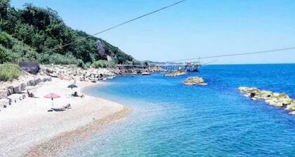 La Vigna di Ranco Ltd Num3326