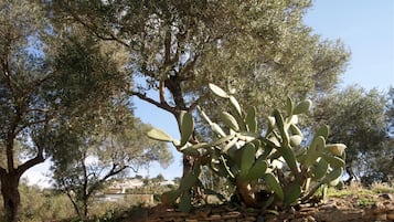 DĂ©tail de lâextĂ©rieur