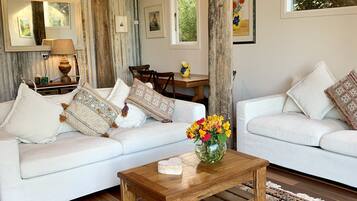 TV connectée, cheminée