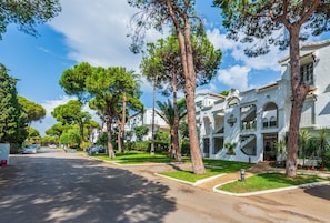 A street lined with tall trees and a white building with arched windows and balconies.