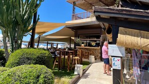 Un restaurante con terraza, un cactus y un cartel que prohíbe perros.