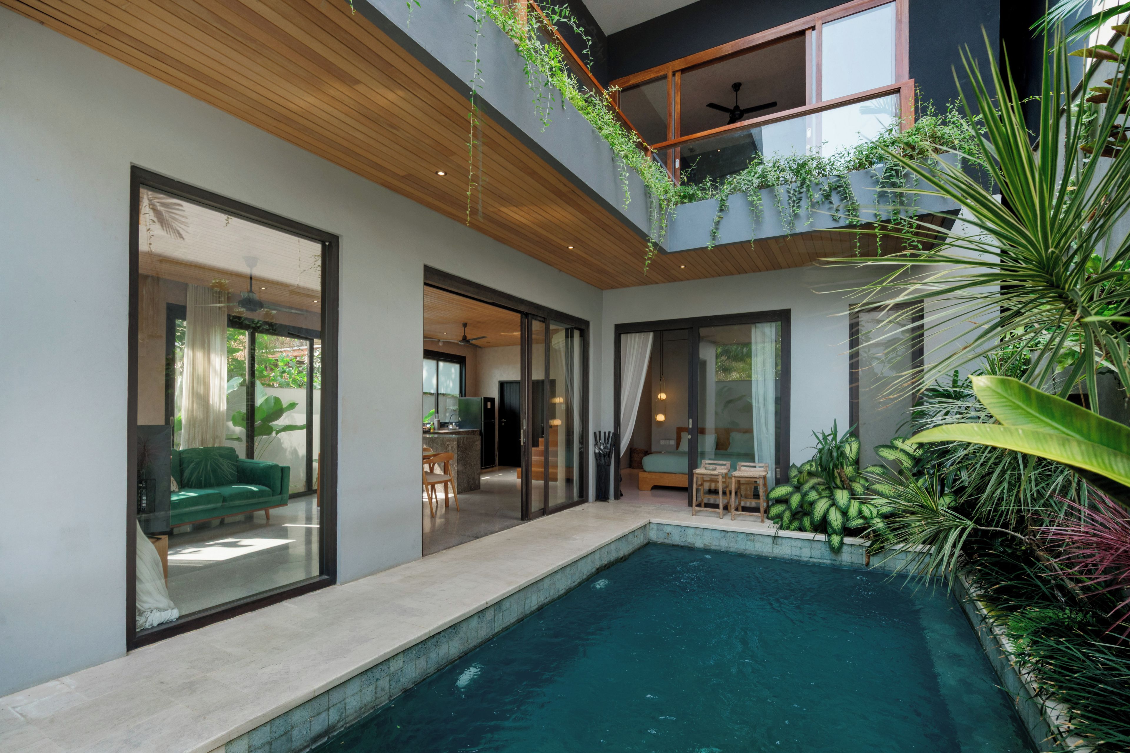 A modern house with a swimming pool, large windows, and indoor plants.