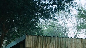 Bathroom - Mazunga Tented Camp (Phalaborwa)