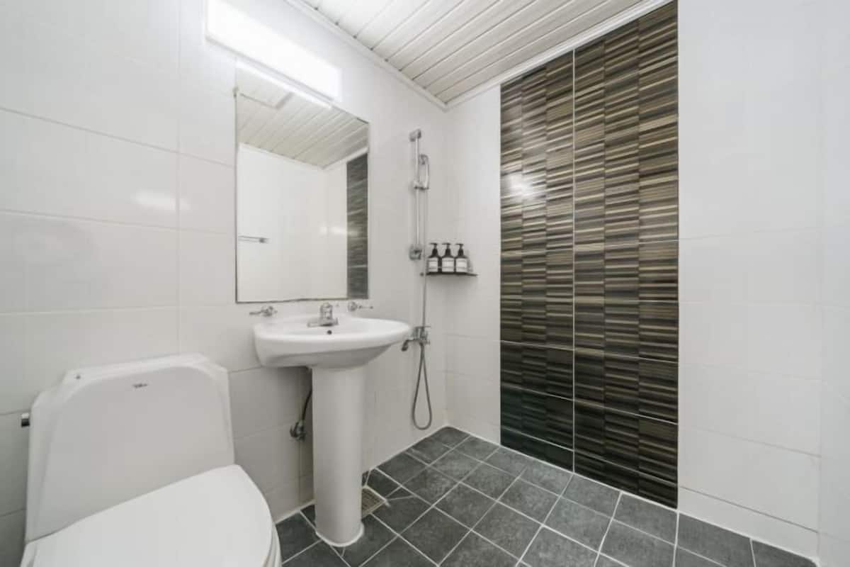 Shower, free toiletries, hair dryer, towels