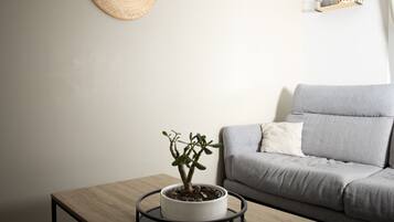 Smart TV