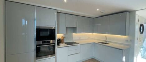 Basic Apartment, 1 King Bed | Private kitchen | Fridge, microwave, oven, stovetop