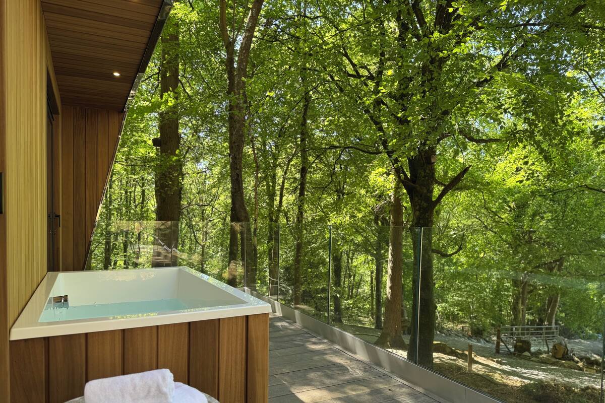 Une salle de bain moderne avec une baignoire entourée de parois de verre, un lambris en bois et une vue sur une zone boisée.