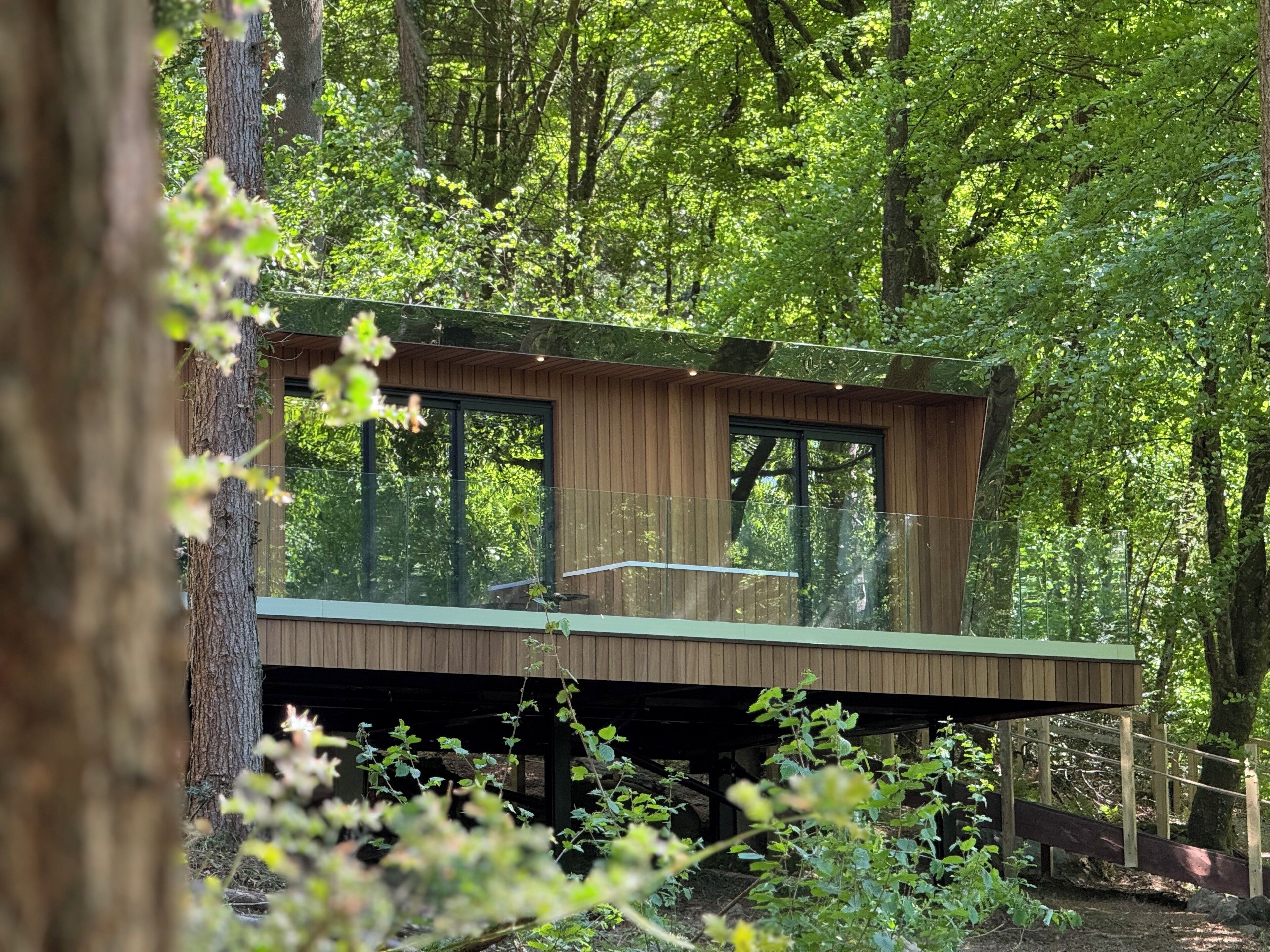 A modern wooden cabin with large windows, surrounded by dense forest.
