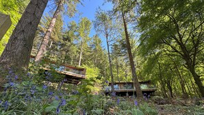 A cabin in a forest with a wooden deck and a view of the surrounding trees. - Forest Lodges (Betws-Y-Coed)
