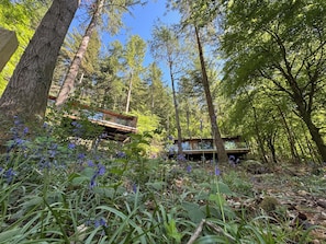 Property grounds - Forest Lodges (Betws-Y-Coed)