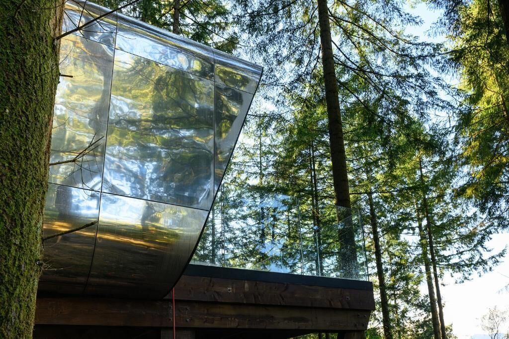 A modern building with a reflective glass facade, surrounded by tall trees.