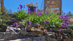 A stone wall with purple flowers and a wooden structure in the background.
