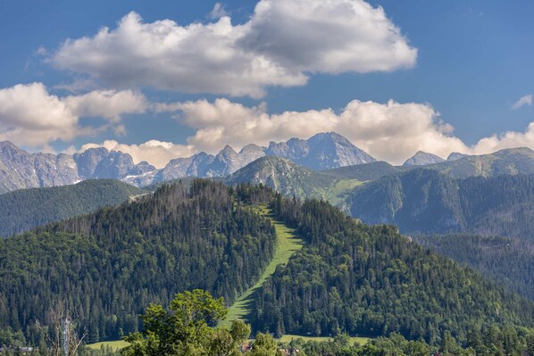 A mountain landscape with a clear path through a forested area, leading to a range of mountains in the background.