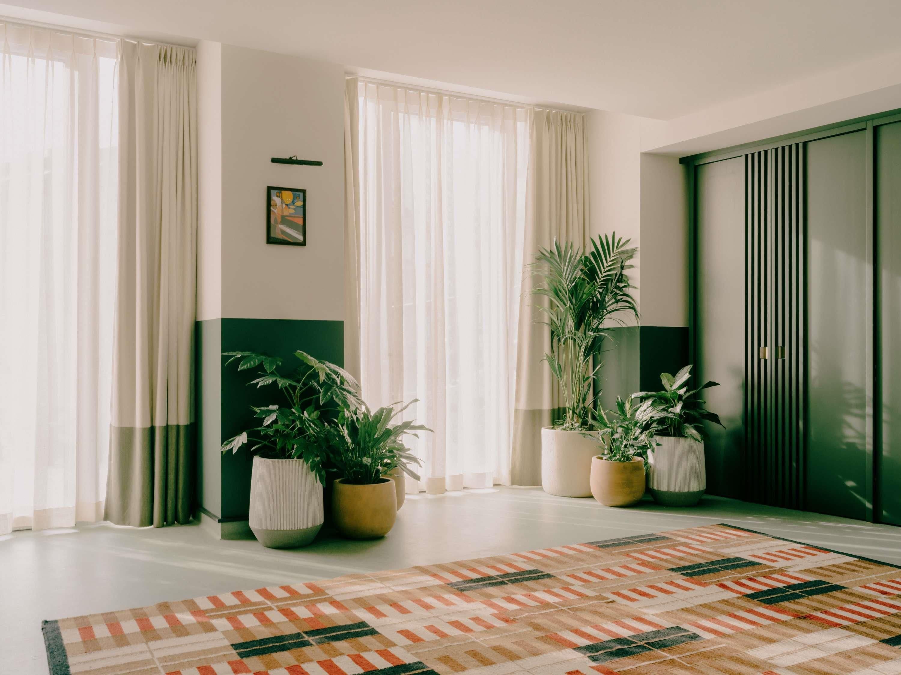 Ein modernes Wohnzimmer mit großem Fenster, einem gemusterten Teppich und Topfpflanzen.
