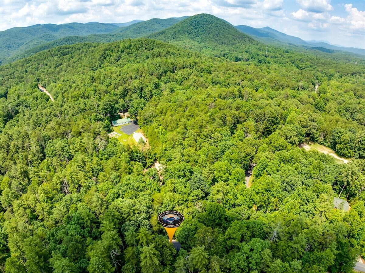 A forested area with a clear sky and a mountain range in the background.