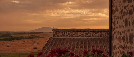 A rural landscape with hay bales, a stone building with a tiled roof, and red flowers in the foreground.