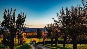 A gravel path flanked by trees in a rural setting with a clear sky. - La Polledrara Relais di Campagna (Paliano)