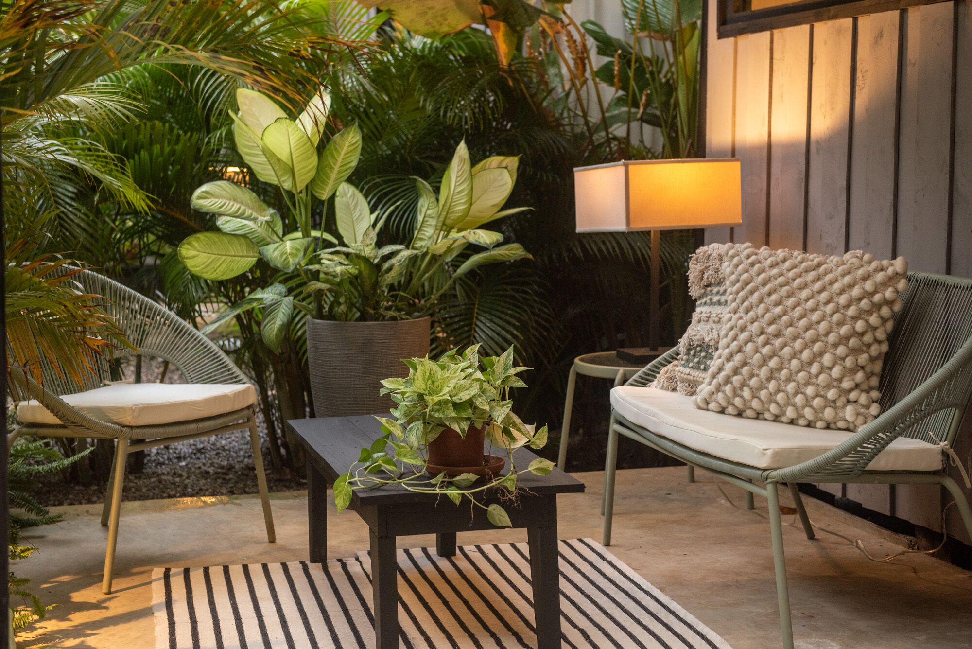 A patio area with wicker furniture, a table, and a potted plant.