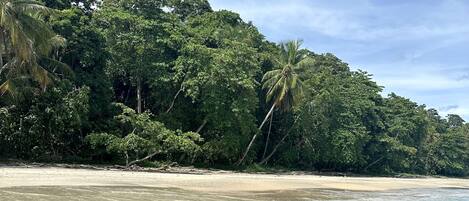 Beach nearby, beach towels