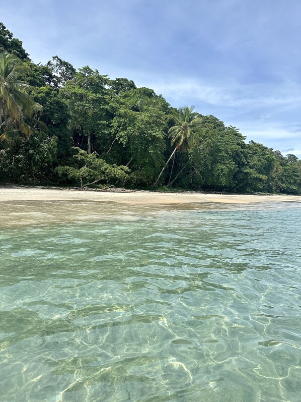 Beach nearby, beach towels - KAÑIK APART HOTEL (Cahuita)